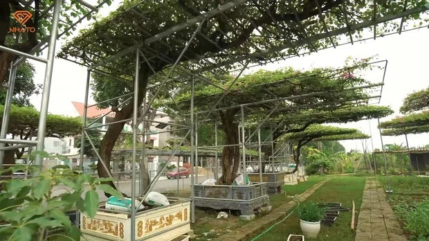 Tận mục biệt thự toàn gỗ quý của đại gia Thanh Hóa - Hình 9 Tan muc biet thu toan go quy cua dai gia Thanh Hoa-Hinh-9