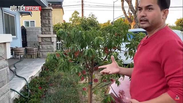 Siêu mẫu Đức Tiến giàu như thế nào khi sang Mỹ định cư? - Hình 6 Sieu mau Duc Tien giau nhu the nao khi sang My dinh cu?-Hinh-6