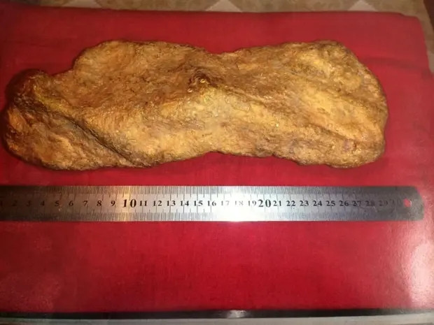 Người đàn ông đào được cục vàng khổng lồ nặng 10kg - Hình 3 Nguoi dan ong dao duoc cuc vang khong lo nang 10kg-Hinh-3