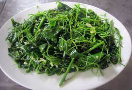 Loài rau bỏ hoang nay được xuất khẩu sang Mỹ với giá cao - Hình 5 Loai rau bo hoang nay duoc xuat khau sang My voi gia cao-Hinh-5