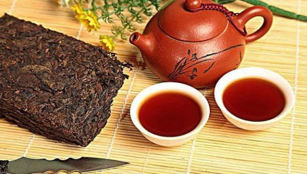 Khó tin: Lá cây đắt hơn căn biệt thự tiền tỷ Kho tin: La cay dat hon can biet thu tien ty