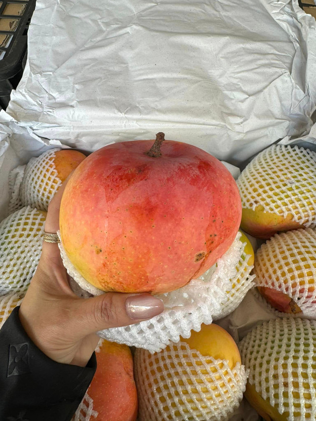 Những loại trái cây khổng lồ khiến người tiêu dùng tò mò và đổ xô đặt mua Nhung loai trai cay khong lo khien nguoi tieu dung to mo va do xo dat mua