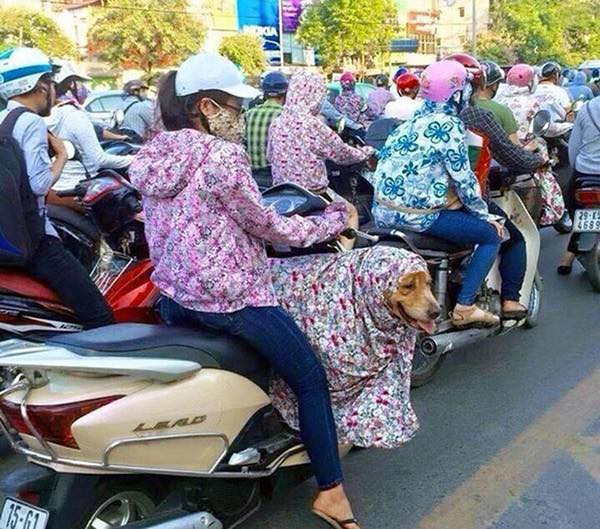 Hết hồn với "style Ninja" trong ngày nắng nóng đỉnh điểm ở Sài Gòn - Hình 6 Het hon voi