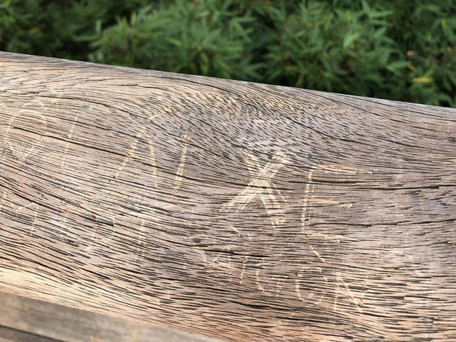 Dư luận phẫn nộ với vết bậy chi chít trên đỉnh Fansipan - Hình 5 Du luan phan no voi vet bay chi chit tren dinh Fansipan-Hinh-5