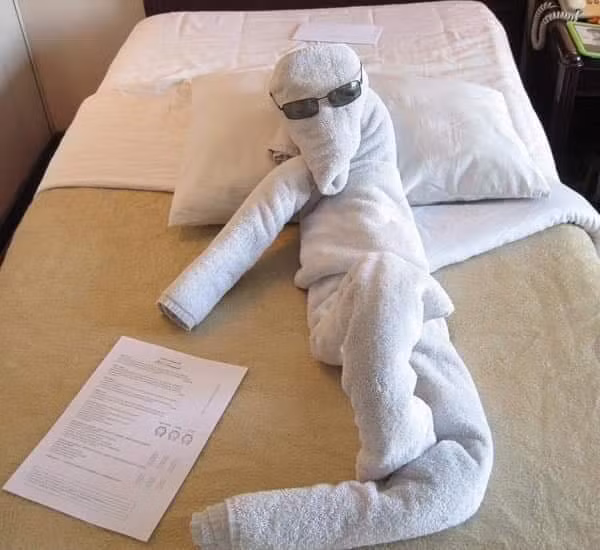 Bat ngo nhung 'kiet tac' tu khan tam o khach san-Hinh-8