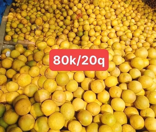 Bat ngo buoi “dac san” gia “re hon rau” do bi thi truong Viet-Hinh-2