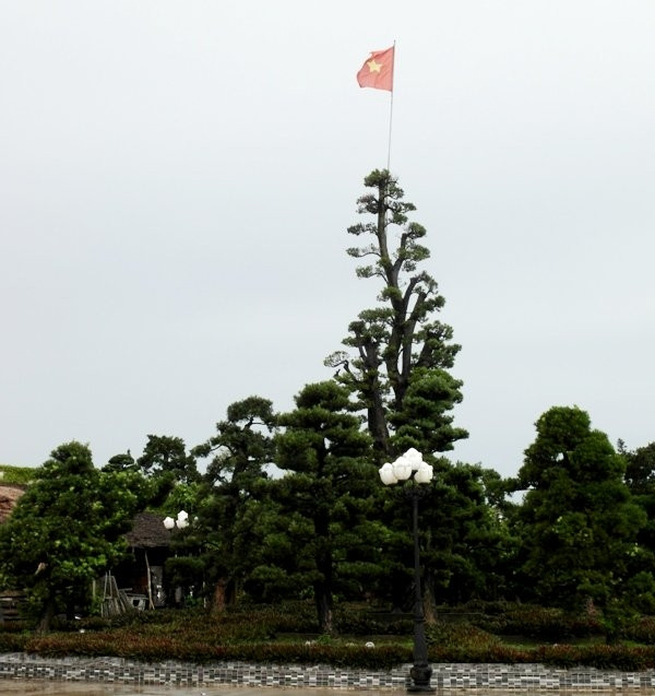 Trước khi 'ngã ngựa', các đại gia đã bạo tay vung tiền như nào? - Hình 2 Truoc khi 'nga ngua', cac dai gia da bao tay vung tien nhu nao?-Hinh-2
