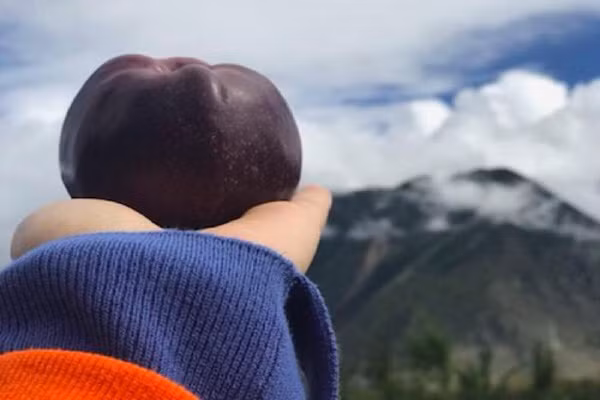 Tao kim cuong den co gi dac biet ma gia gan nua trieu dong/qua?-Hinh-8