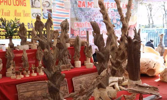 Chi tiet cac khoi tram huong tien ty cua dai gia Viet