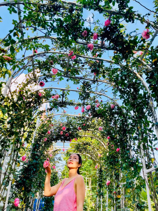 Toan canh biet thu nhu resort cua Oc Thanh Van-Hinh-8