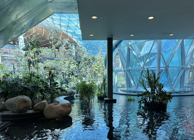 Qatar đầu tư 'rừng nhiệt đới' trong sân bay phục vụ World Cup 2022 - Hình 5 Qatar dau tu 'rung nhiet doi' trong san bay phuc vu World Cup 2022-Hinh-5