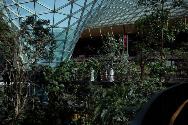 Qatar đầu tư 'rừng nhiệt đới' trong sân bay phục vụ World Cup 2022 - Hình 9 Qatar dau tu 'rung nhiet doi' trong san bay phuc vu World Cup 2022-Hinh-9