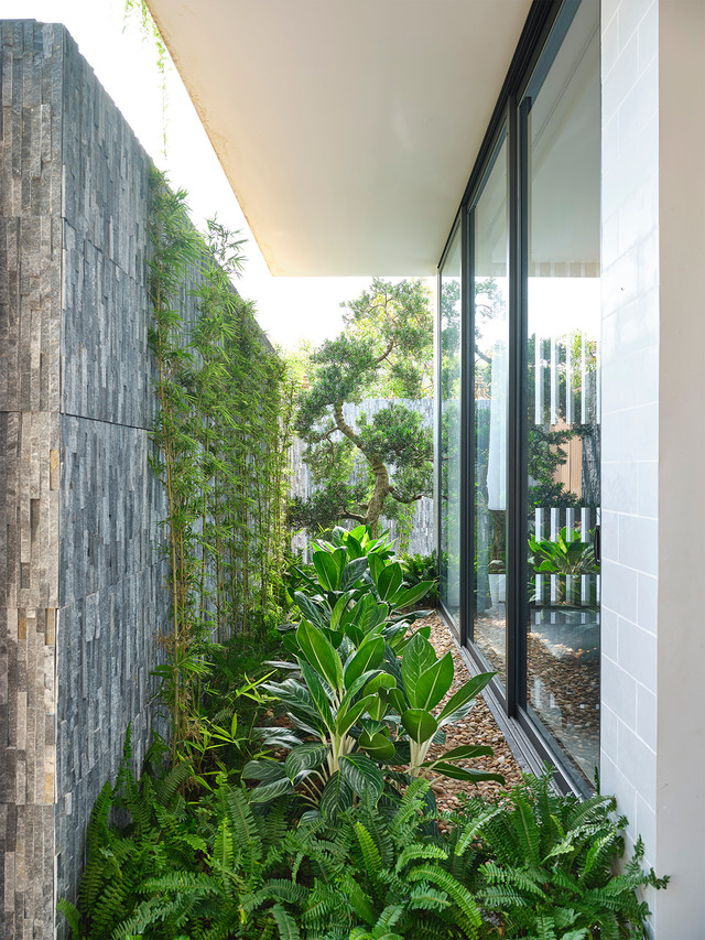 Cận cảnh 'khu vườn trên mây' trong căn nhà 3 tầng - Hình 8 Can canh 'khu vuon tren may' trong can nha 3 tang-Hinh-8