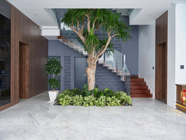 Cận cảnh 'khu vườn trên mây' trong căn nhà 3 tầng - Hình 9 Can canh 'khu vuon tren may' trong can nha 3 tang-Hinh-9