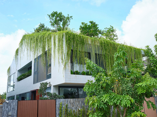 Cận cảnh 'khu vườn trên mây' trong căn nhà 3 tầng - Hình 3 Can canh 'khu vuon tren may' trong can nha 3 tang-Hinh-3