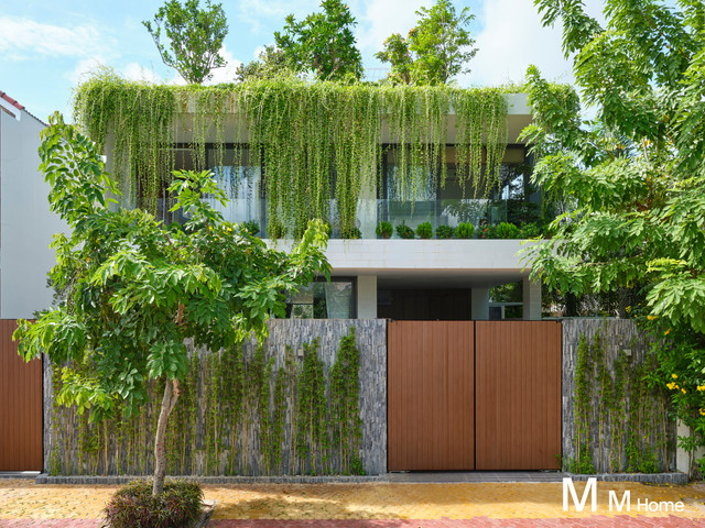 Cận cảnh 'khu vườn trên mây' trong căn nhà 3 tầng Can canh 'khu vuon tren may' trong can nha 3 tang