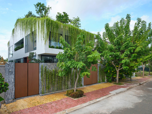 Cận cảnh 'khu vườn trên mây' trong căn nhà 3 tầng - Hình 2 Can canh 'khu vuon tren may' trong can nha 3 tang-Hinh-2