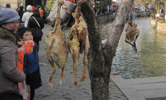 Món gà hong gió đại gia đua nhau ăn và sự thật tàn nhẫn - Hình 6 Mon ga hong gio dai gia dua nhau an va su that tan nhan-Hinh-6