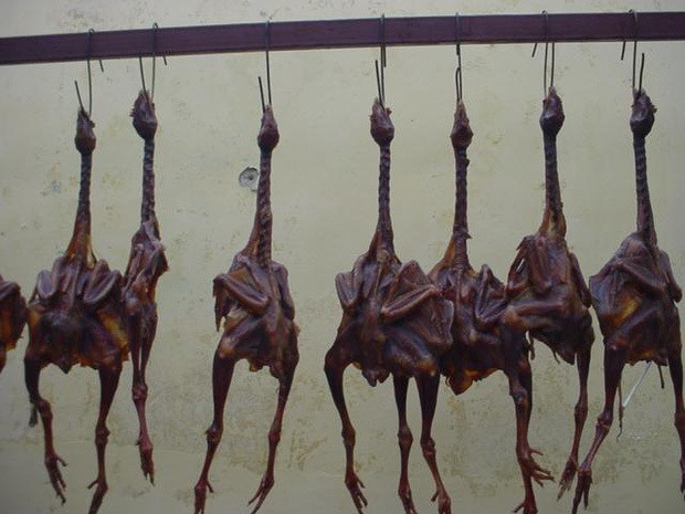 Món gà hong gió đại gia đua nhau ăn và sự thật tàn nhẫn - Hình 2 Mon ga hong gio dai gia dua nhau an va su that tan nhan-Hinh-2