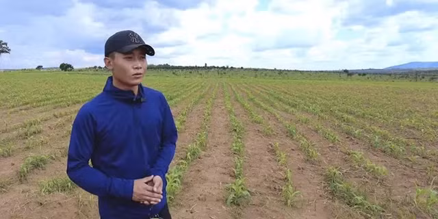 Trang trai 4,3 ty can coi o Chau Phi cua Quang Linh Vlog gio ra sao?-Hinh-2