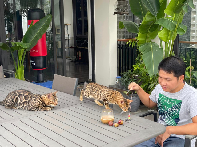 Chi tiet co ngoi bac ty giua pho cua ca si Trong Tan-Hinh-10