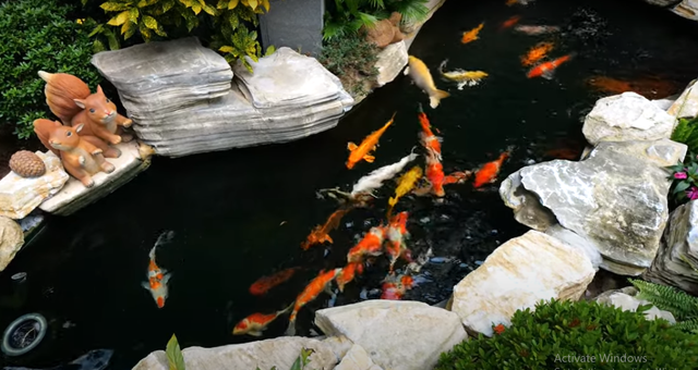 Chi tiết biệt thự 1.000 m2 'đi mỏi chân' ở Bắc Ninh - Hình 4 Chi tiet biet thu 1.000 m2 'di moi chan' o Bac Ninh-Hinh-4