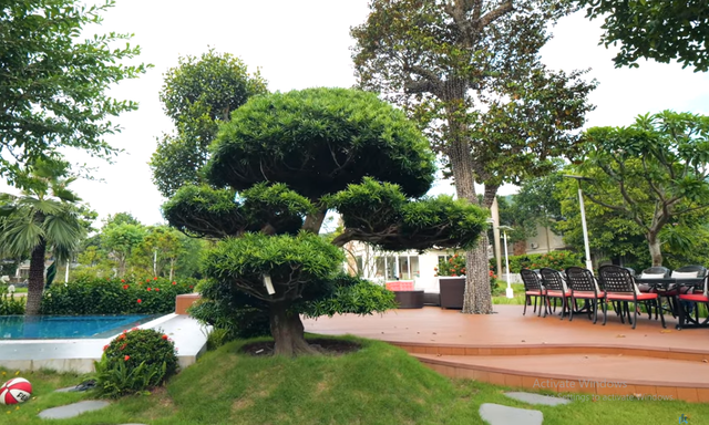 Chi tiết biệt thự 1.000 m2 'đi mỏi chân' ở Bắc Ninh - Hình 7 Chi tiet biet thu 1.000 m2 'di moi chan' o Bac Ninh-Hinh-7