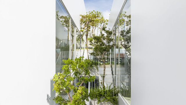 Vào bên trong ngôi nhà 'cắt làm đôi' độc đáo ở Huế Vao ben trong ngoi nha 'cat lam doi' doc dao o Hue