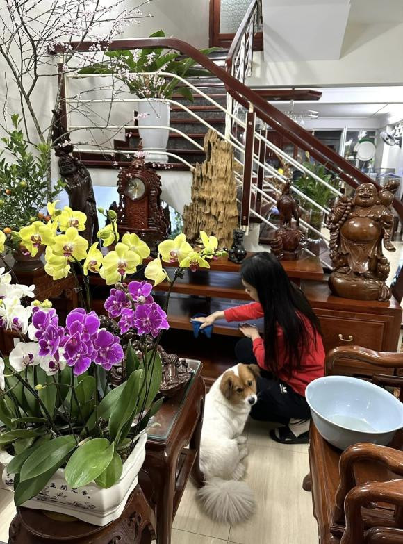 Ngưỡng mộ độ giàu có của Á hậu Trịnh Thùy Linh - Hình 2 Nguong mo do giau co cua A hau Trinh Thuy Linh-Hinh-2