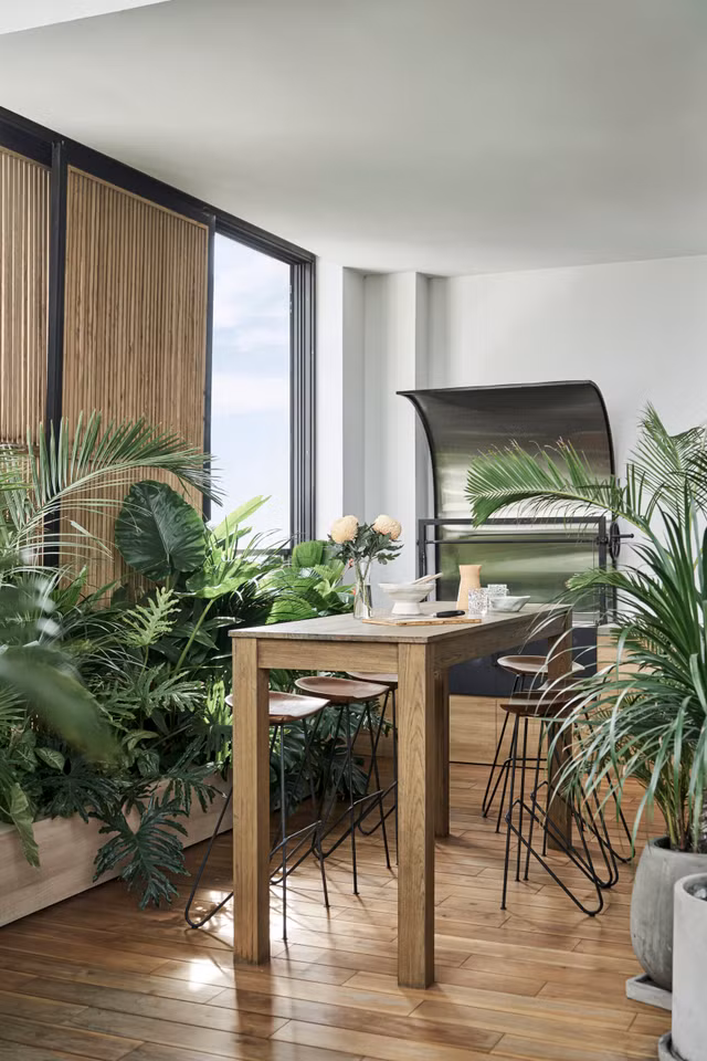 Penthouse nhu rung nhiet doi giua Sai Gon xuat hien tren bao My-Hinh-3