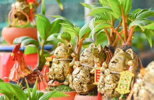 Thị trường Tết Quý Mão 2023: Xuất hiện những món quà độc lạ hình mèo - Hình 2 Thi truong Tet Quy Mao 2023: Xuat hien nhung mon qua doc la hinh meo-Hinh-2