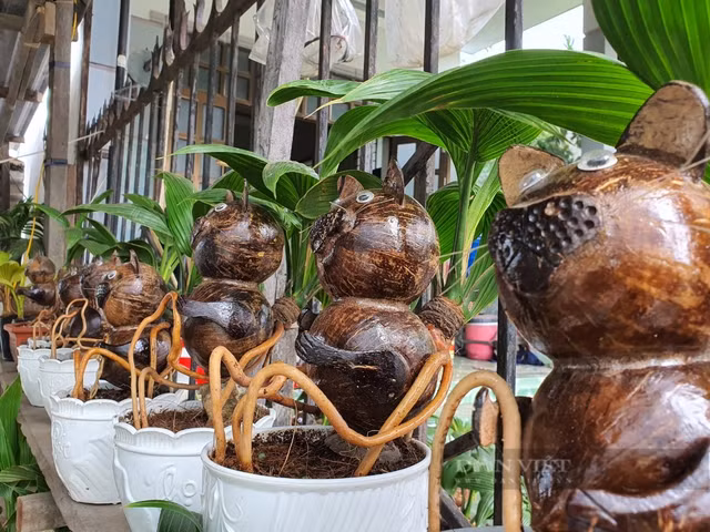 Thi truong Tet Quy Mao 2023: Xuat hien nhung mon qua doc la hinh meo-Hinh-3