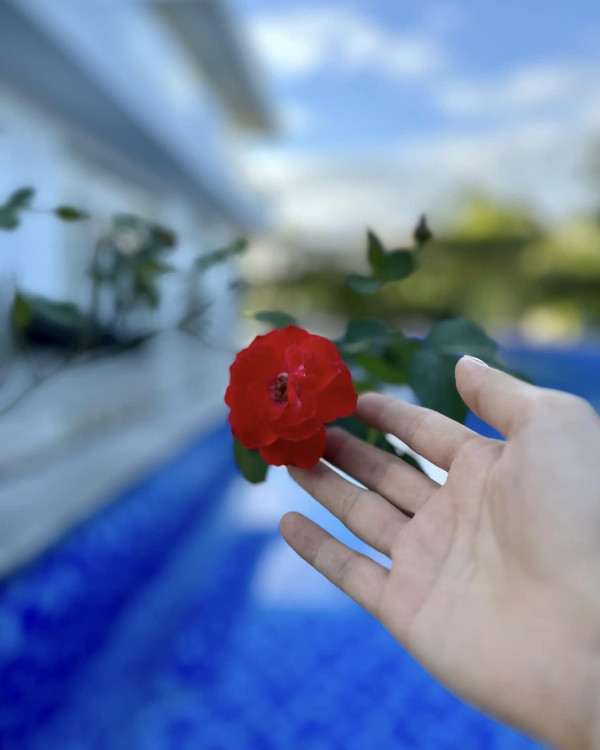 Khu vườn rộng như khu du lịch sinh thái của Mỹ Tâm - Hình 4 Khu vuon rong nhu khu du lich sinh thai cua My Tam-Hinh-4