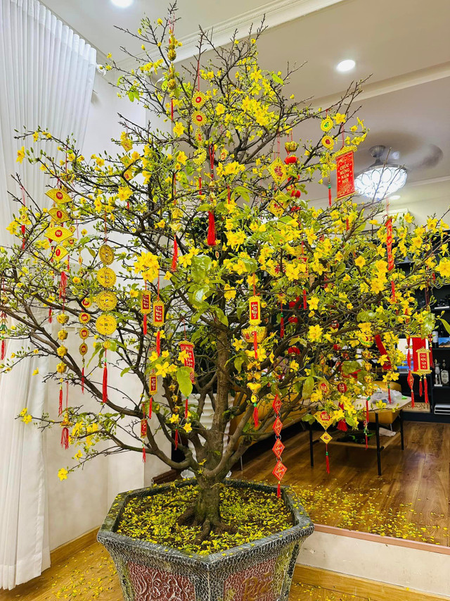 Vy Oanh khoe biệt thự lộng lẫy sắc hoa những ngày đầu Xuân - Hình 10 Vy Oanh khoe biet thu long lay sac hoa nhung ngay dau Xuan-Hinh-10