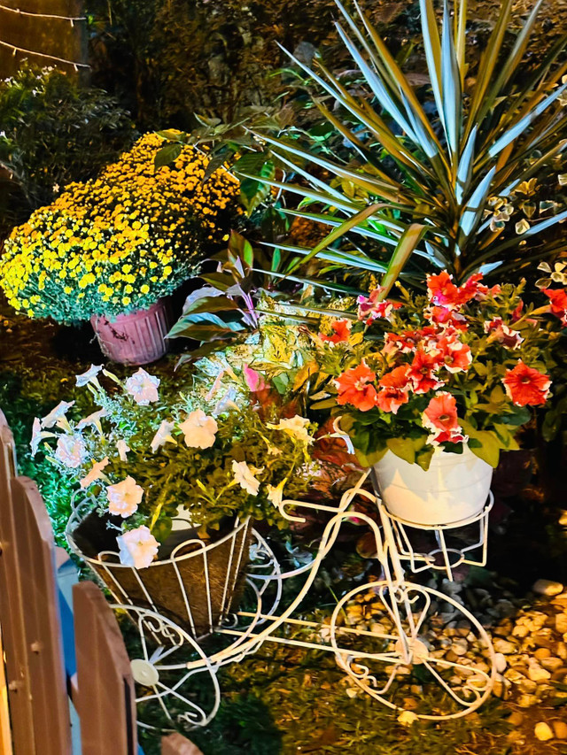 Vy Oanh khoe biệt thự lộng lẫy sắc hoa những ngày đầu Xuân - Hình 5 Vy Oanh khoe biet thu long lay sac hoa nhung ngay dau Xuan-Hinh-5