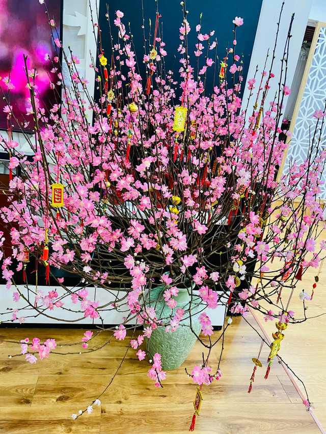 Vy Oanh khoe biệt thự lộng lẫy sắc hoa những ngày đầu Xuân - Hình 9 Vy Oanh khoe biet thu long lay sac hoa nhung ngay dau Xuan-Hinh-9