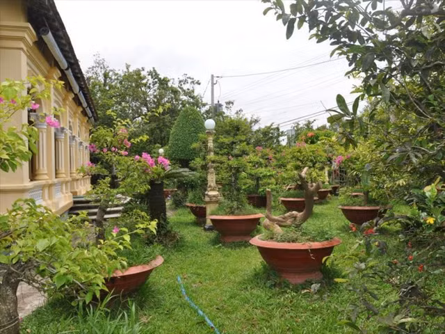 Ghe tham ngoi nha co Ba Duc doc nhat vo nhi o Tien Giang-Hinh-8