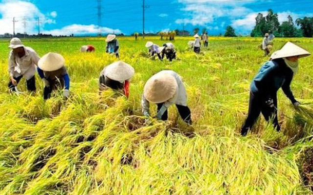 Lộc Trời đặt kế hoạch lãi tăng đến 62%, corona tác động không quá lớn - Hình 2 Loc Troi dat ke hoach lai tang den 62%, corona tac dong khong qua lon-Hinh-2
