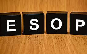 Nafoods đã phát hành hơn 2,2 triệu cổ phiếu ESOP với giá bằng nửa thị giá Nafoods da phat hanh hon 2,2 trieu co phieu ESOP voi gia bang nua thi gia