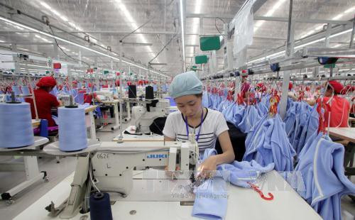 Tổng Công ty Đức Giang đặt kế hoạch lãi tối thiểu 52 tỷ đồng, chia cổ tức 30% Tong Cong ty Duc Giang dat ke hoach lai toi thieu 52 ty dong, chia co tuc 30%