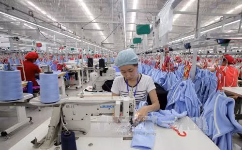 Tong Cong ty Duc Giang dat ke hoach lai toi thieu 52 ty dong, chia co tuc 30%