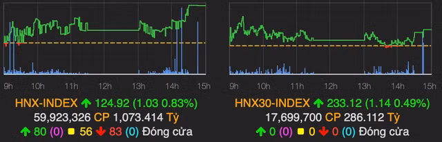 VCG duoc thoa thuan hon 530 ty dong, VN-Index tang nhe 1 diem-Hinh-2