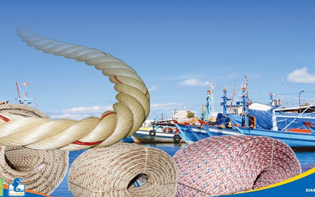 Bị truy thu gần 9 tỷ đồng thuế, Siam Brothers giải trình ra sao? Bi truy thu gan 9 ty dong thue, Siam Brothers giai trinh ra sao?