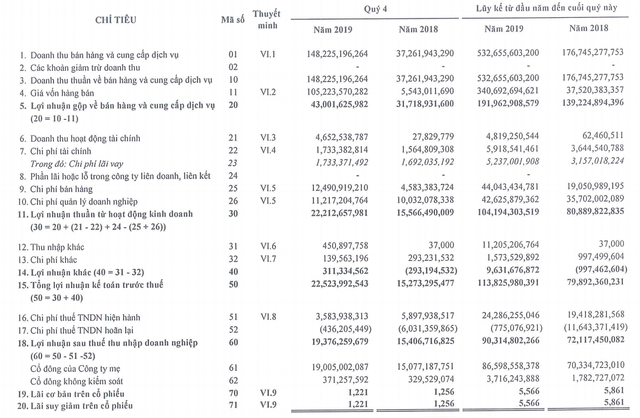 Biên lãi gộp lao dốc, Netland lỡ kế hoạch lợi nhuận 2019 Bien lai gop lao doc, Netland lo ke hoach loi nhuan 2019