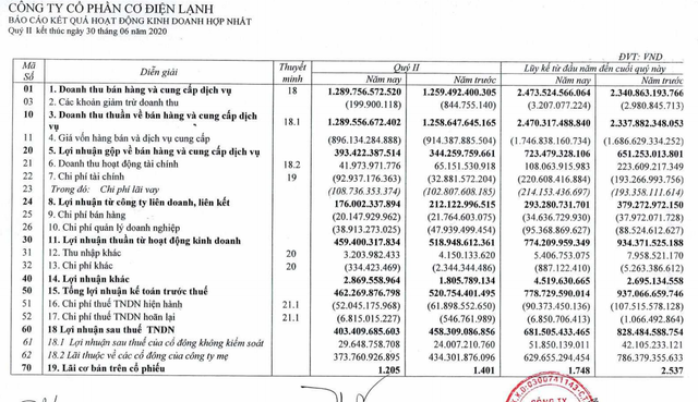 Lãi bán niên 2020 của REE giảm 20% do gánh nặng chi phí lãi vay Lai ban nien 2020 cua REE giam 20% do ganh nang chi phi lai vay