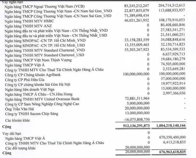 Sam Holdings báo lãi ròng năm 2019 sụt 25% nhưng nợ vay dài hạn giảm đáng kể 97% - Hình 2 Sam Holdings bao lai rong nam 2019 sut 25% nhung no vay dai han giam dang ke 97%-Hinh-2