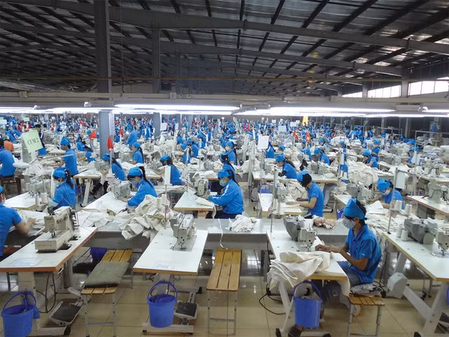 Thuong mai TNG bao lai giam 33% trong thang 1/2020, con nhieu kho khan phia truoc