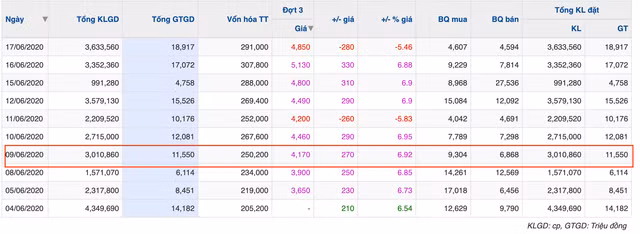 Mua ‘chui’ co phieu, Pho Tong Giam doc Everland nop phat 15 trieu dong