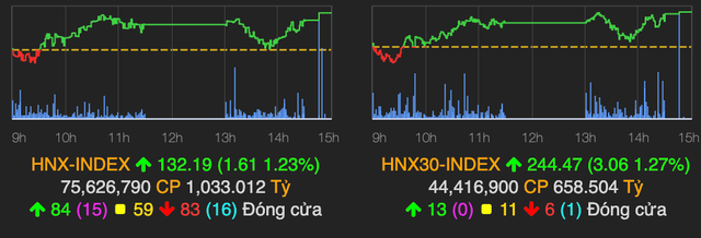 VN-Index dieu chinh giam gan 2 diem, STB la ‘ngoi sao sang’ suot phien-Hinh-2