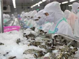 Doanh số tiêu thụ 9 tháng của FMC tăng 16% so cùng kỳ Doanh so tieu thu 9 thang cua FMC tang 16% so cung ky